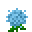 Blue Hydrangea