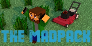 Mod Pack of The Month: The MadPack 2 -  Game