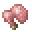 Raw Rabbit (Pam's HarvestCraft)