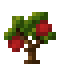 Cherry Sapling