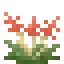 Item Bromeliad (Biomes O' Plenty).png