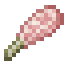 Item Raw Venison (Pam's HarvestCraft).png