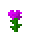 Death Flower