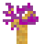 Ender Sapling