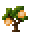 Orange Sapling