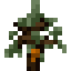 Rubber Tree Sapling