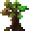 Tree of Time Sapling