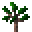 Rubber Sapling