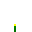 Dandelion Germling