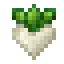 Item Turnip (Pam's HarvestCraft).png