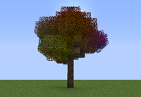 Rainbow Oak ig.png