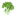 Broccoli (Pam's HarvestCraft)