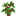 Oak Sapling