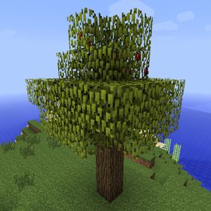 Apple Tree.jpg