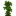 Jungle Sapling