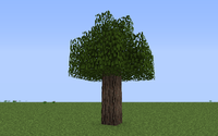 Twilight Oak Small ig.png