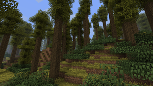 Deciduous Forest.png